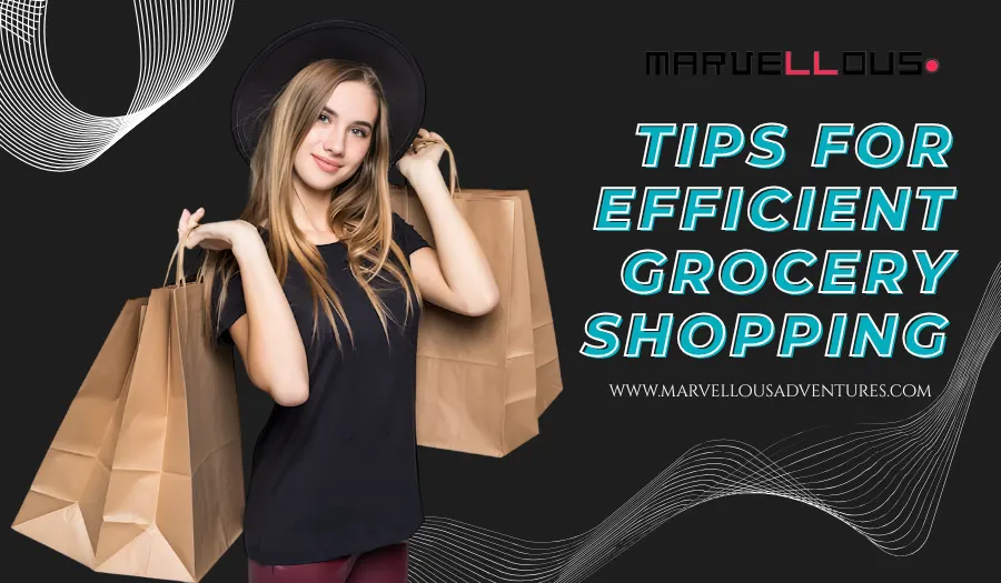 Political Commentary Shapes Public Opinion